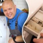 Çamaşır makinesini küf ve kokudan nasıl temizleyebilirim: ucuz uzman tavsiyesi