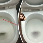 Tek bir ürün tuvaleti parlatacak kadar beyazlatacak: 15 dakikada plak