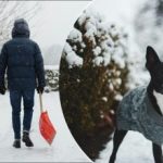 Bitkilerinizi Öldürmeden Bahçenizdeki Buzdan Nasıl Kurtulabilirsiniz? Bitkilerinizi Öldürmeden Bahçenizdeki Buzdan Nasıl Kurtulabilirsiniz?